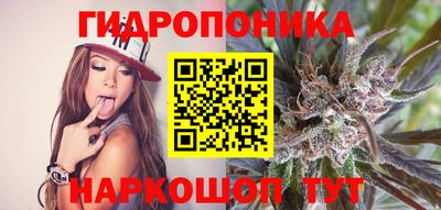 бошки Заволжье