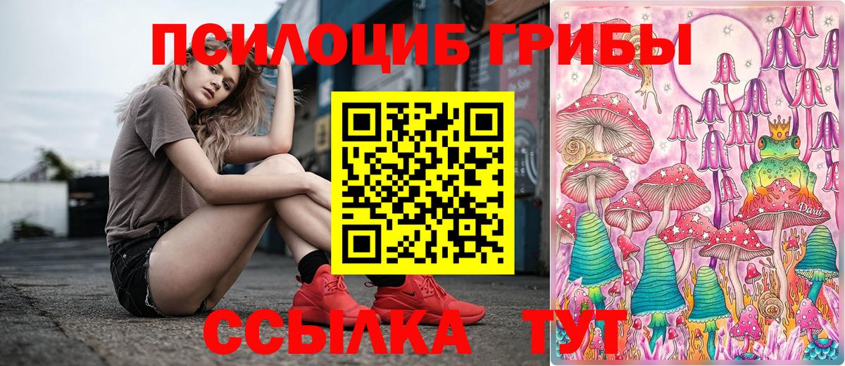 купить   Галлюциногенные грибы Magic Shrooms  Вход с VPN  Маркс 